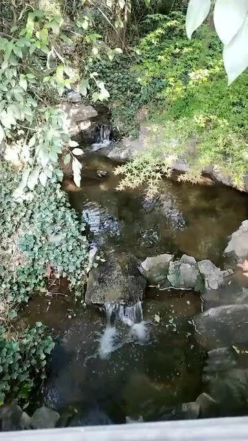 幻想纹章3